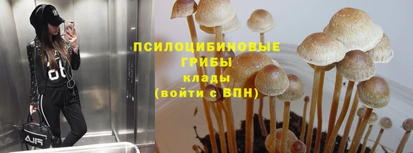 наркотики Михайлов
