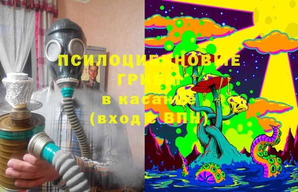 стаф Медвежьегорск