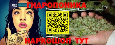эйфоретик Канаш