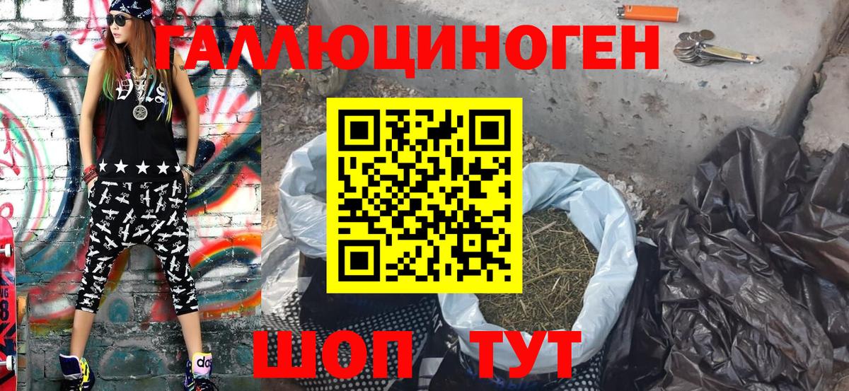 Галлюциногенные грибы Psilocybe Карасук