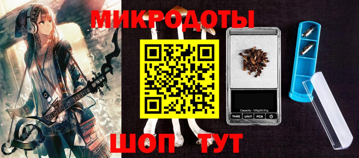 Галлюциногенные грибы Psilocybine cubensis Карасук