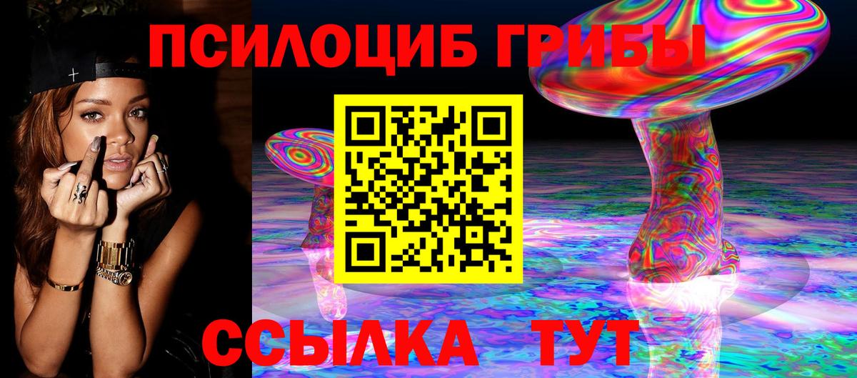 Галлюциногенные грибы Psilocybine cubensis  Галлюциногенные грибы Magic Shrooms  Карасук 