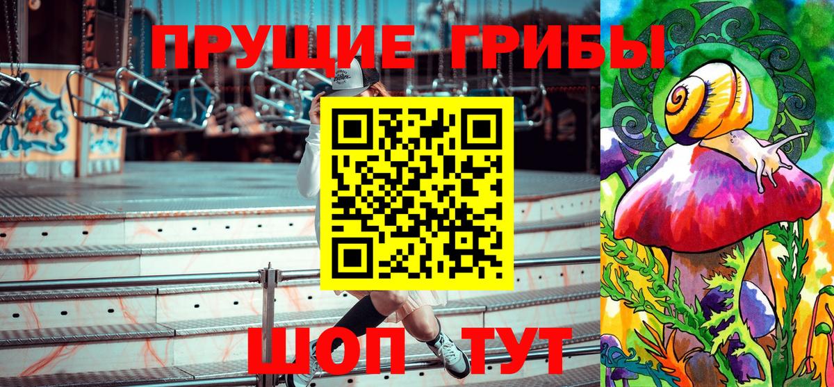 Псилоцибиновые грибы ЛСД  Вход с VPN  Псилоцибиновые грибы прущие грибы  Карасук 
